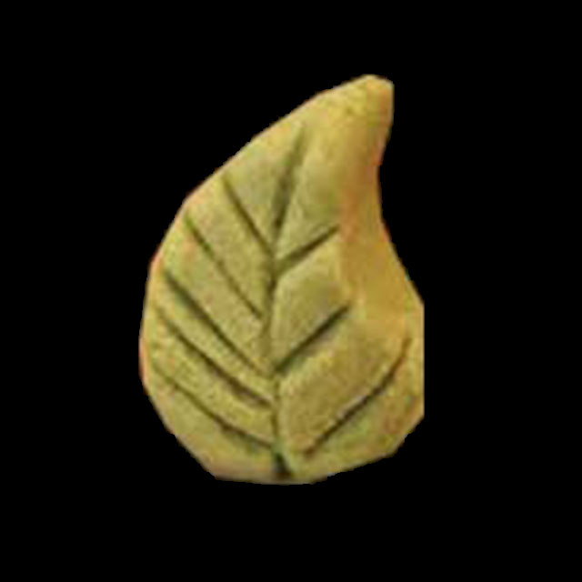 Wasabi Extra